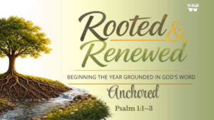 Rooted & Renewed: Anchored
